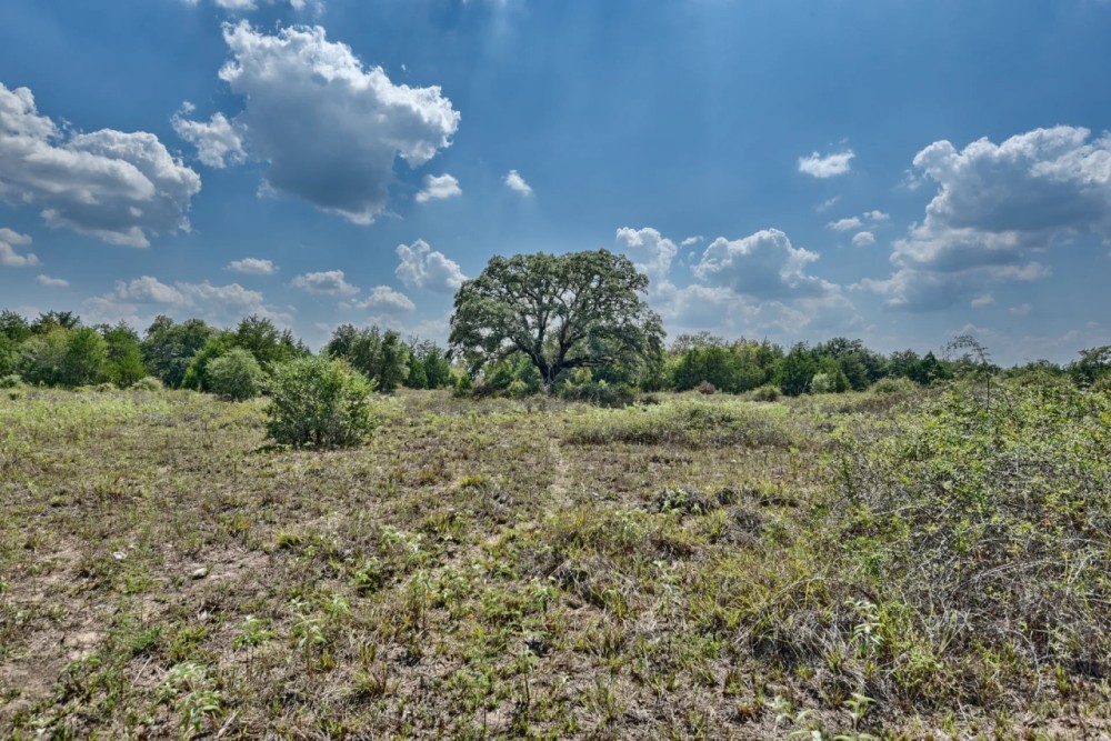2839 Schoenst Road Round Top featured image