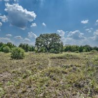 2839 Schoenst Road Round Top