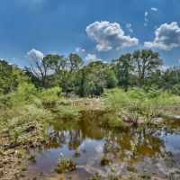 2839 Schoenst Road Round Top images 4