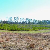 9.5 Acres of Rural Land for Sale in Pike County MS images 4