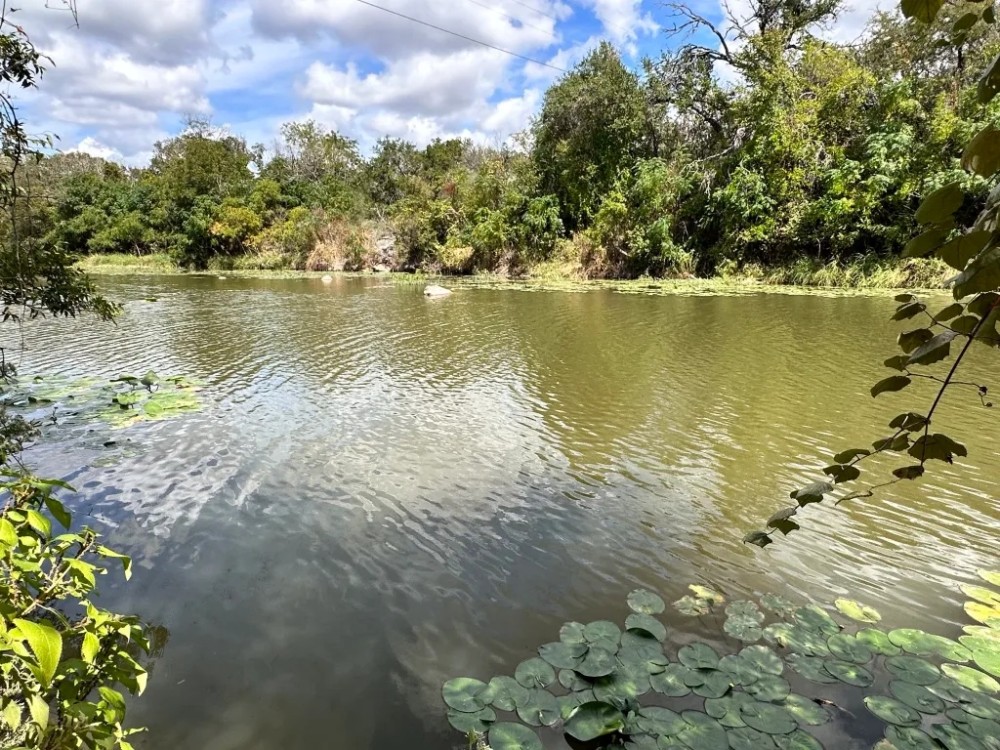 44 - Acres with Home on Cherokee Creek featured image