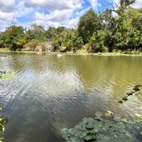 44 - Acres with Home on Cherokee Creek