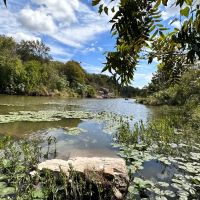 44 - Acres with Home on Cherokee Creek images 4