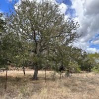 44 - Acres with Home on Cherokee Creek images 5