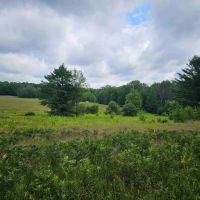 40 acres Wooded Hunting Land with Fields and Stream in Berkshire NY Ketchumville Road