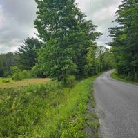 40 acres Wooded Hunting Land with Fields and Stream in Berkshire NY Ketchumville Road images 2