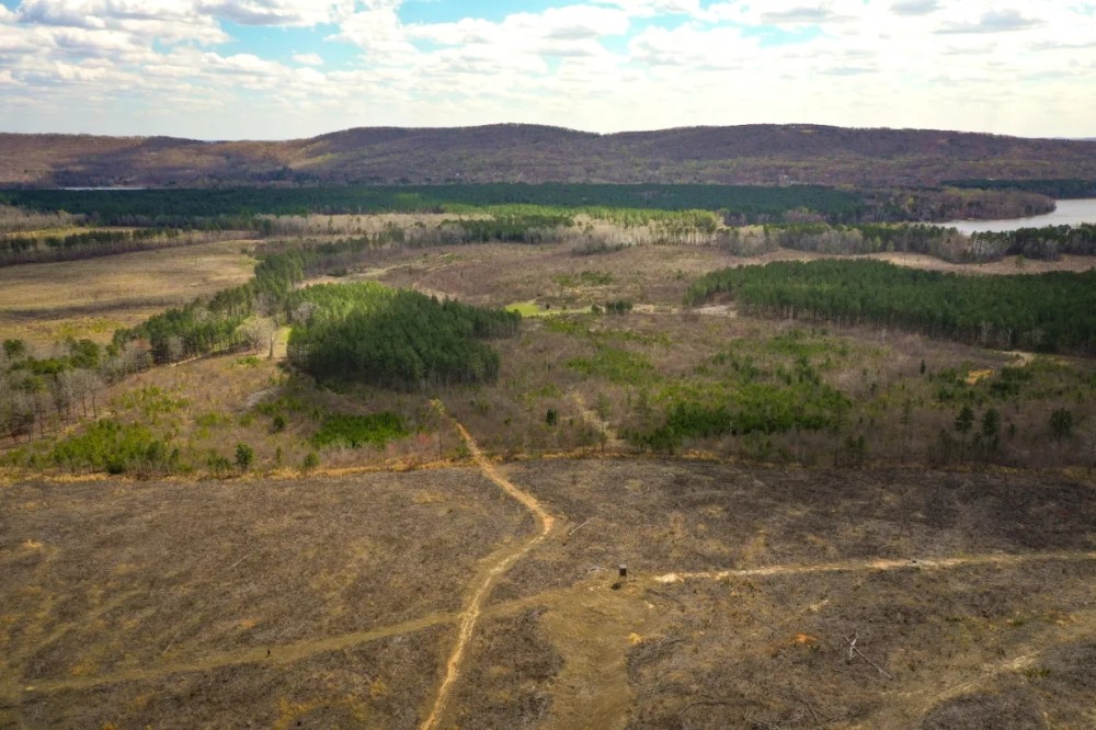 Large Land and Timber Tract on High Rock Lake for Sale featured image