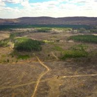 Large Land and Timber Tract on High Rock Lake for Sale