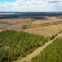 Large Land and Timber Tract on High Rock Lake for Sale images 5