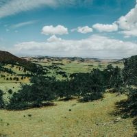 Currant Creek Pass Ranch WEST images 2