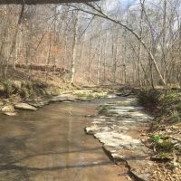 Buck Hollow Farm images 5