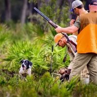 1 950 Acre Commercial Hunting Ranch Lodge with Home images 4