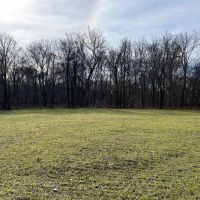One Equity Share of Montgomery Island Hunting Club in Desha County AR images 2