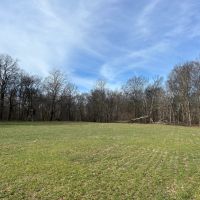 One Equity Share of Montgomery Island Hunting Club in Desha County AR images 3