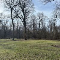 One Equity Share of Montgomery Island Hunting Club in Desha County AR images 4