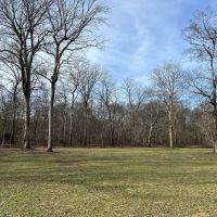 One Equity Share of Montgomery Island Hunting Club in Desha County AR images 5