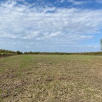 LA - Richland 190 acres -