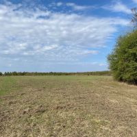 LA - Richland 190 acres - images 2