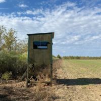 LA - Richland 190 acres - images 4
