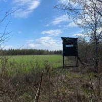 LA - Richland 190 acres - images 5