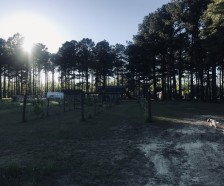 Long Leaf Pine Forests bordering Little Satilla River,&nbsp; 495 acres,&nbsp; passes, to  2, 4 acre ponds.