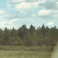 Fullsizeoutput 78e8