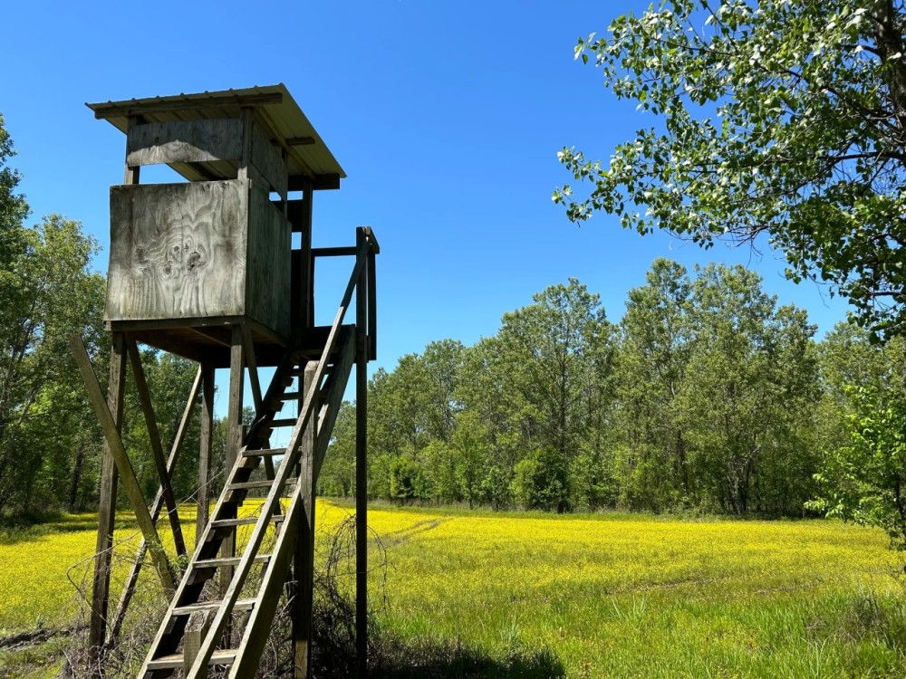 327 Acres in Issaquena County MS featured image