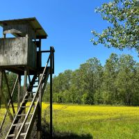 327 Acres in Issaquena County MS
