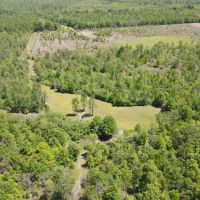 327 Acres in Issaquena County MS images 4