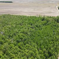 327 Acres in Issaquena County MS images 5