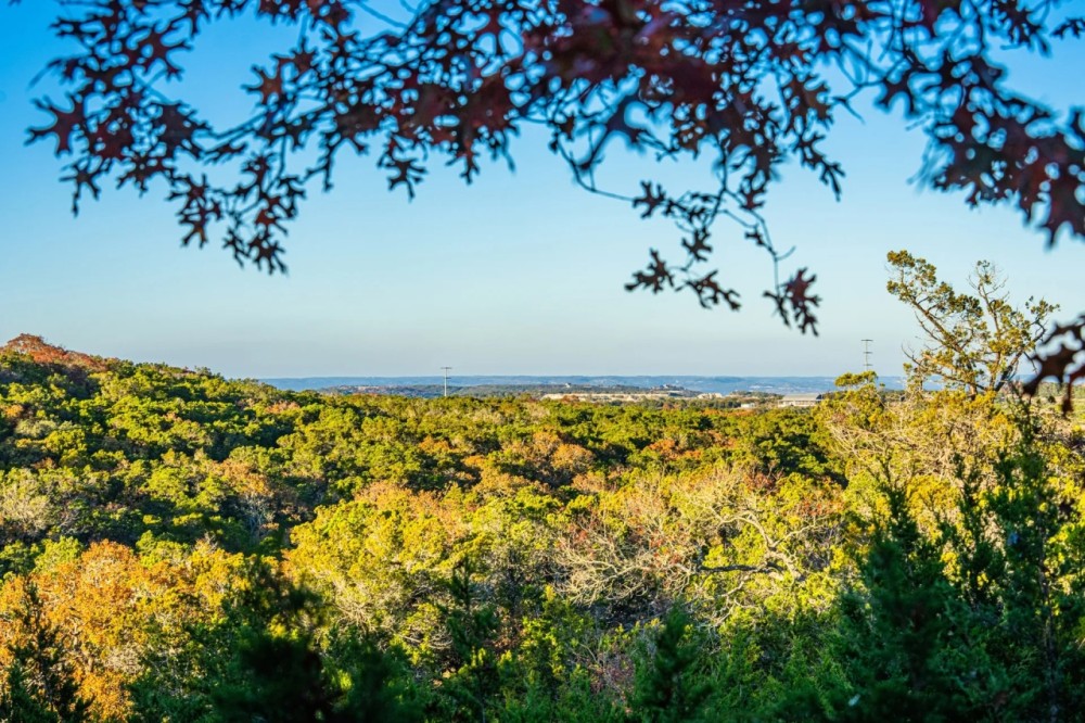 Little Joshua Creek Mountain Ranch featured image