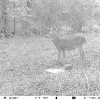 LA - Richland 360 ac - images 4