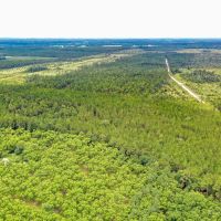 Timberland Investment Tract Ware County GA images 2