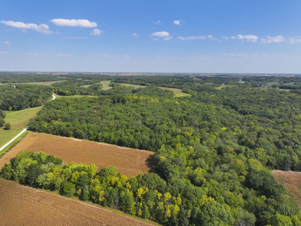 Wapello County Iowa 80 Acres of Land For Sale featured image