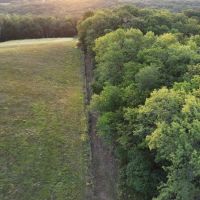Wapello County Iowa 80 Acres of Land For Sale images 4