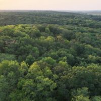Wapello County Iowa 80 Acres of Land For Sale images 5