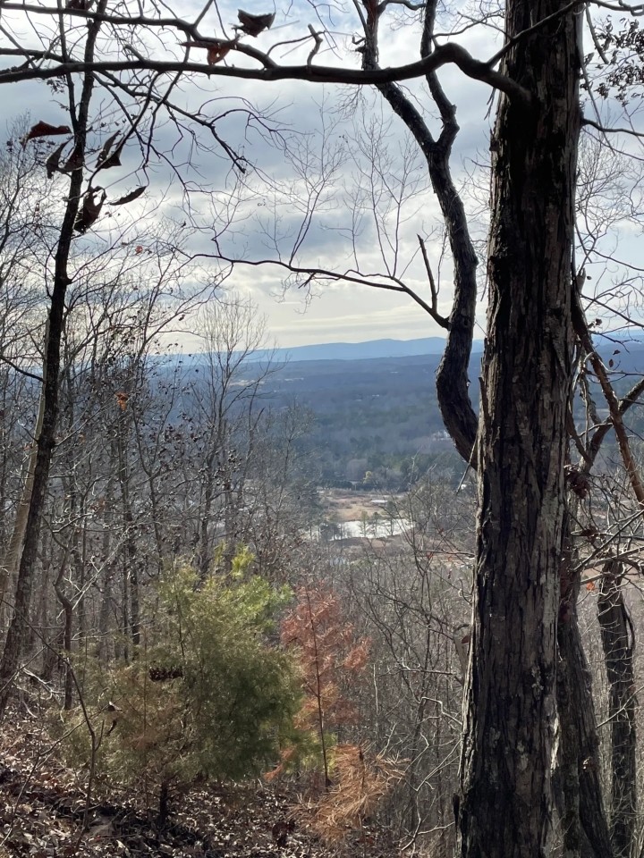 30.97 Acres Catoosa County GA featured image