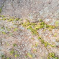 30.97 Acres Catoosa County GA images 5