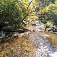 67.5 Acres in Patrick County Virginia