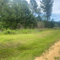 Small Acreage National Forest Getaway images 2