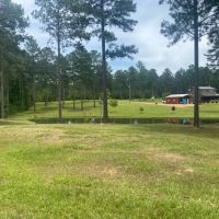 Small Acreage National Forest Getaway images 3