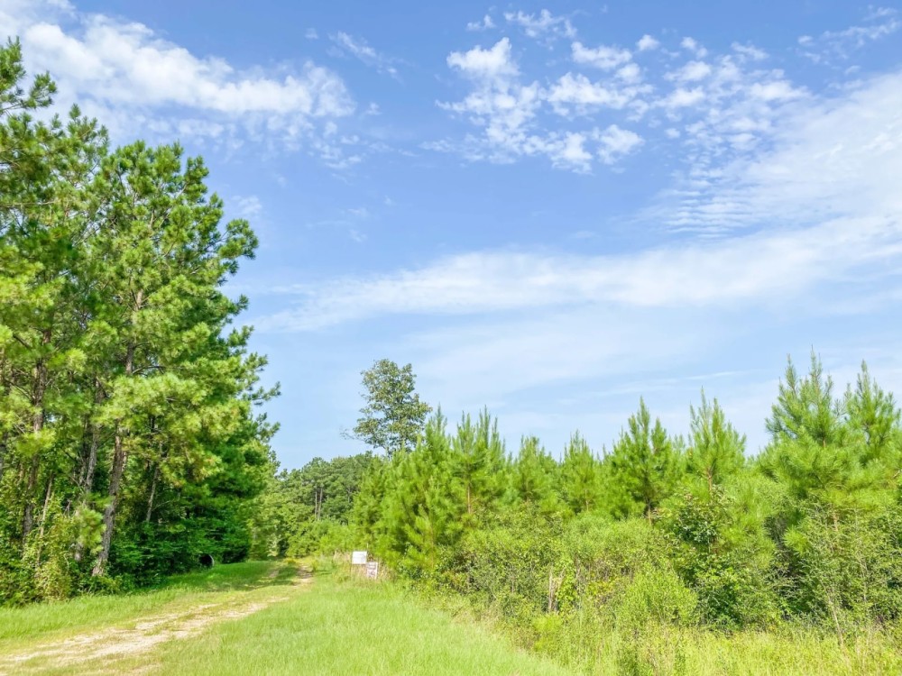 38 Acres T-6 Indian Springs featured image