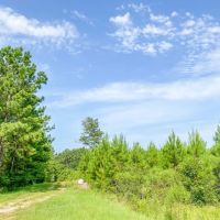 38 Acres T-6 Indian Springs
