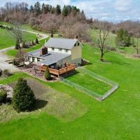 Tree Farm Rd. Fayette County - 53 acres