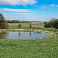 Bosque 100 Ranch