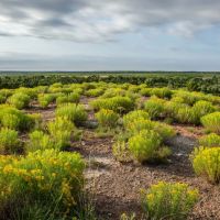 Burdett River Ranch images 2