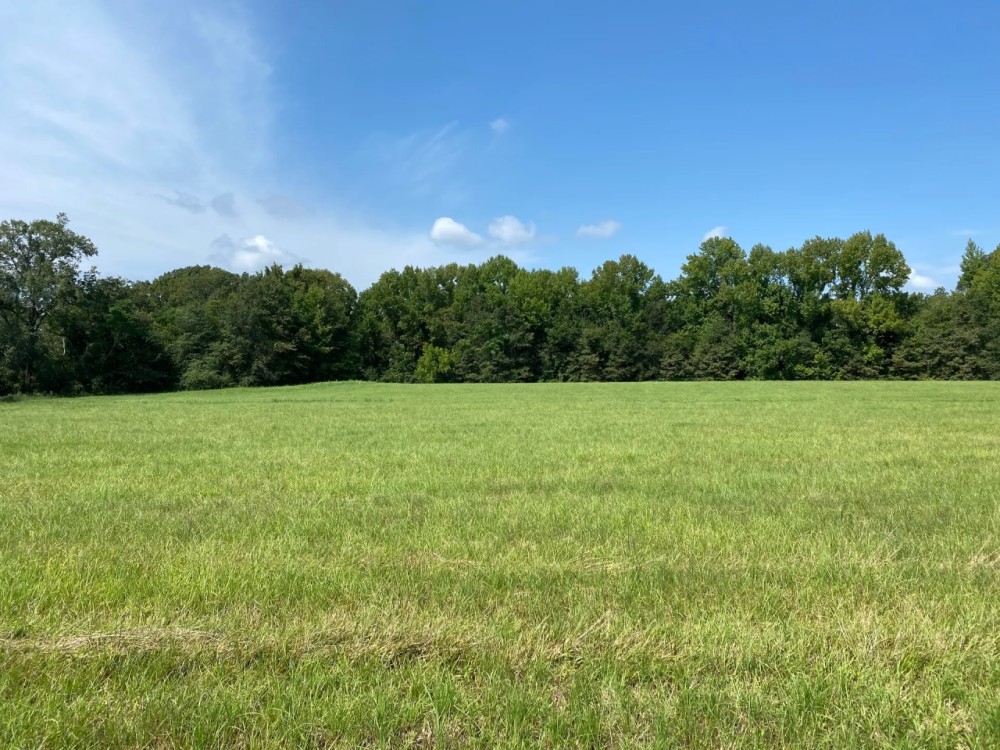 LA - Franklin 36.80 acres - featured image