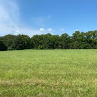 LA - Franklin 36.80 acres -
