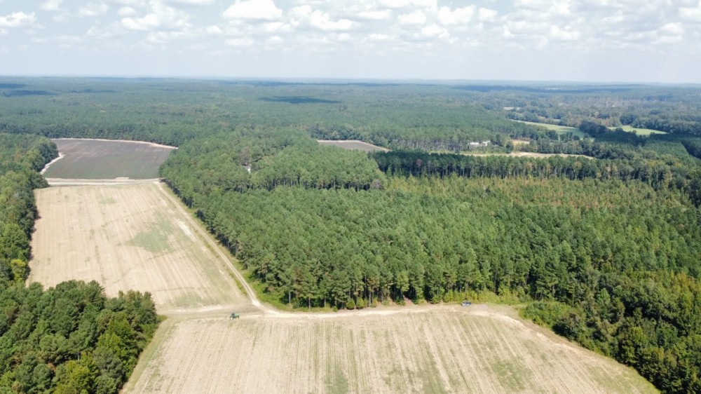 64 Acres in Eupora in Webster County MS featured image