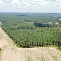 64 Acres in Eupora in Webster County MS
